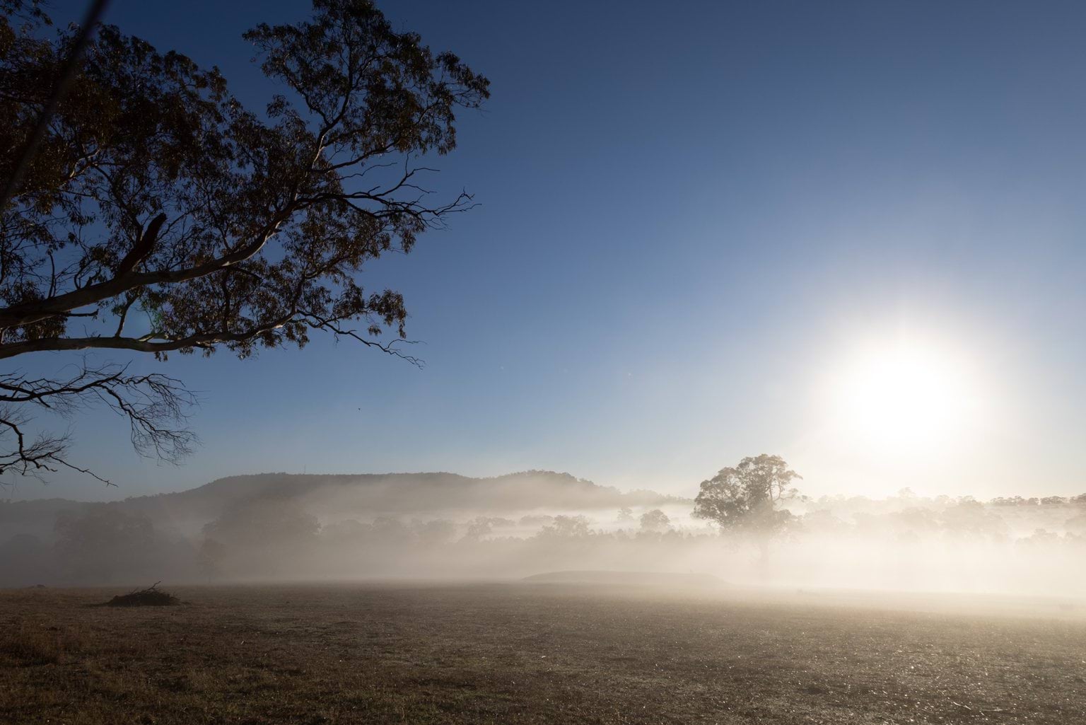 Mount Alexander at Dawn Mount Alexander at Dawn